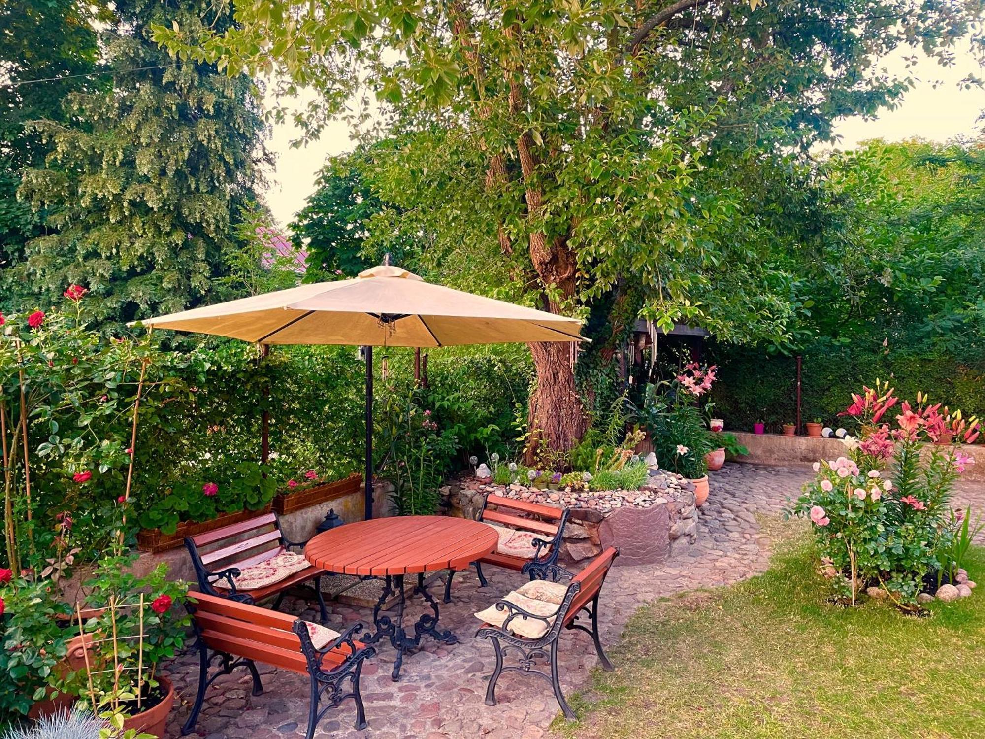 Baltic Home Dunya Mielno  Esterno foto